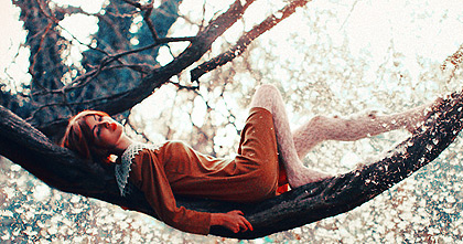 网站攻击软件工具